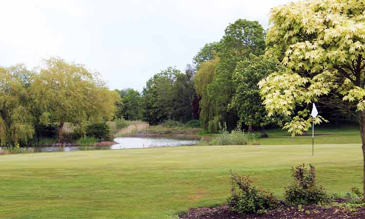 lakeside-loge